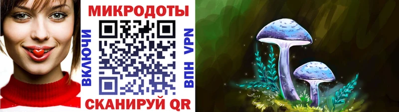 omg ССЫЛКА  Райчихинск  Псилоцибиновые грибы Cubensis 